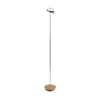 Royyo Floor Lamp