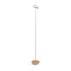 Royyo Floor Lamp