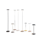 Royyo Floor Lamp