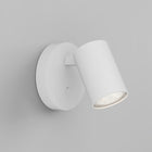 Ascoli Single Switched Wall Sconce