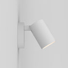 Ascoli Single Switched Wall Sconce