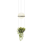 Palma 3724 Pendant Light