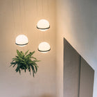 Palma 3724 Pendant Light