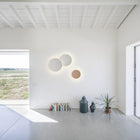 Puck Wall Sconce