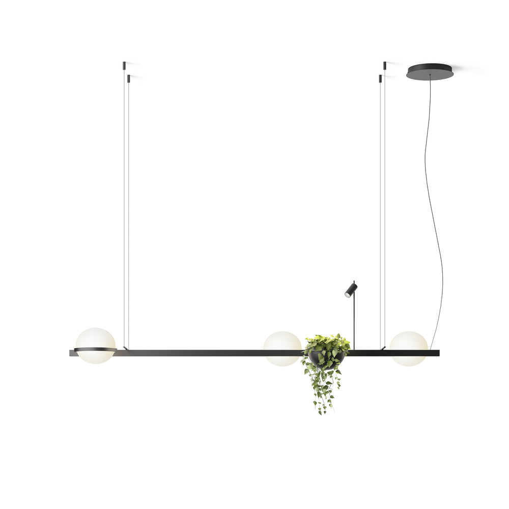 Palma Pendant Light