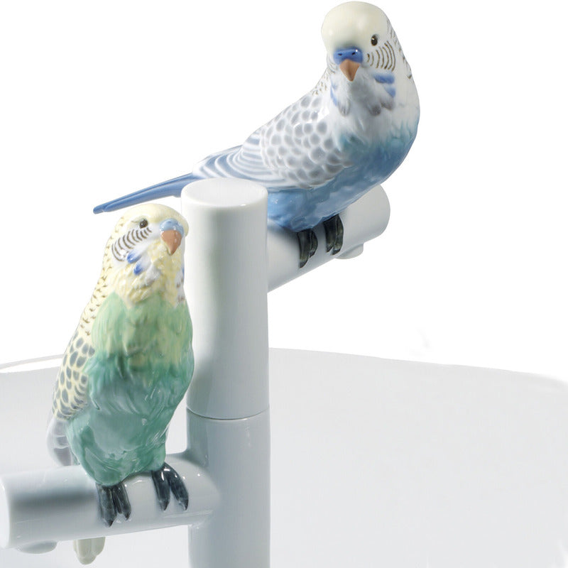 Parrot Plate