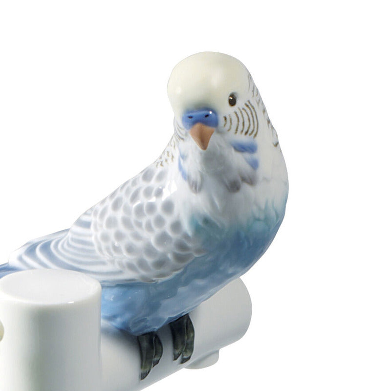Parrot Plate