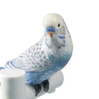 Parrot Plate