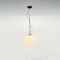 NH Suspension Light  option Large: 13.75 in diameter