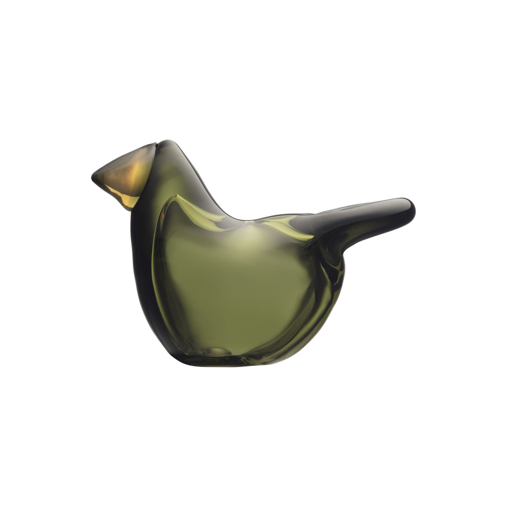 Toikka Flycatcher Bird