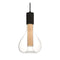 Eris Pendant Light  option Natural Beech / Matte Black