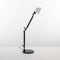 Tolomeo Micro Bicolor Table Lamp  option Black / White