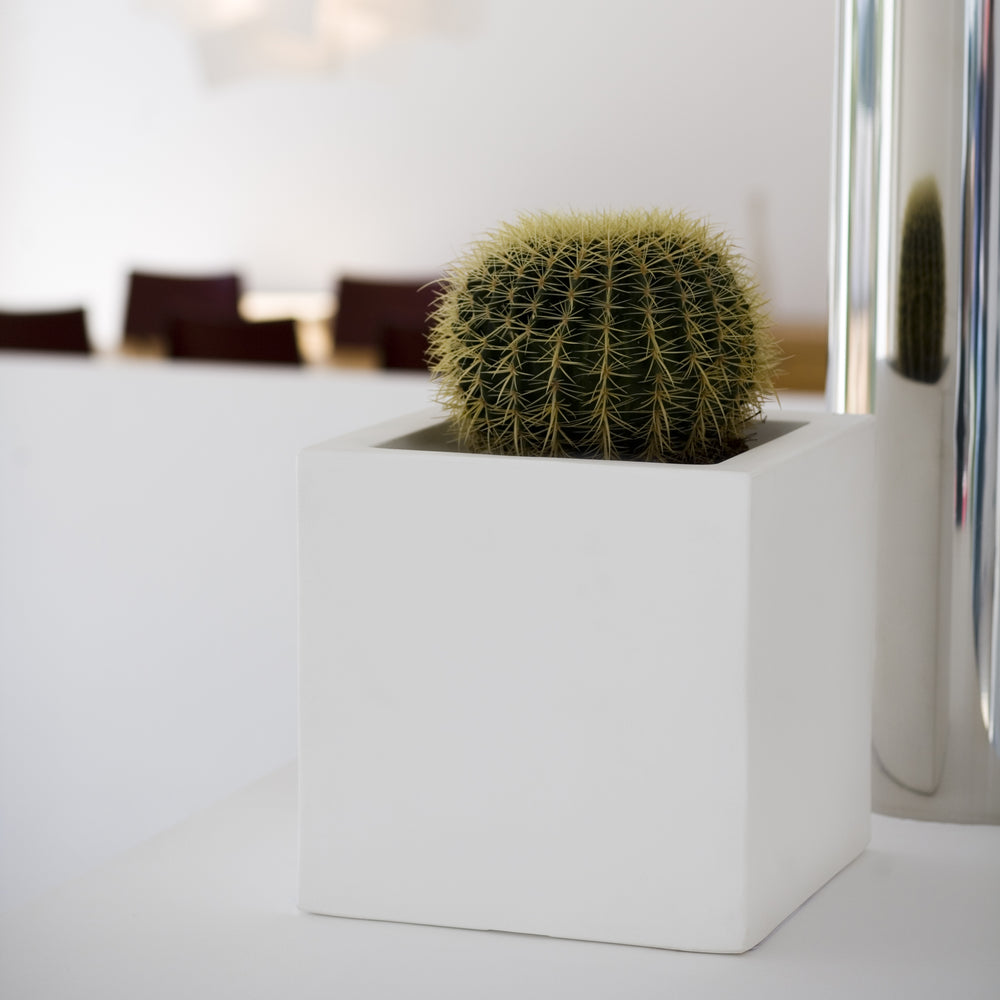 Cube Planter