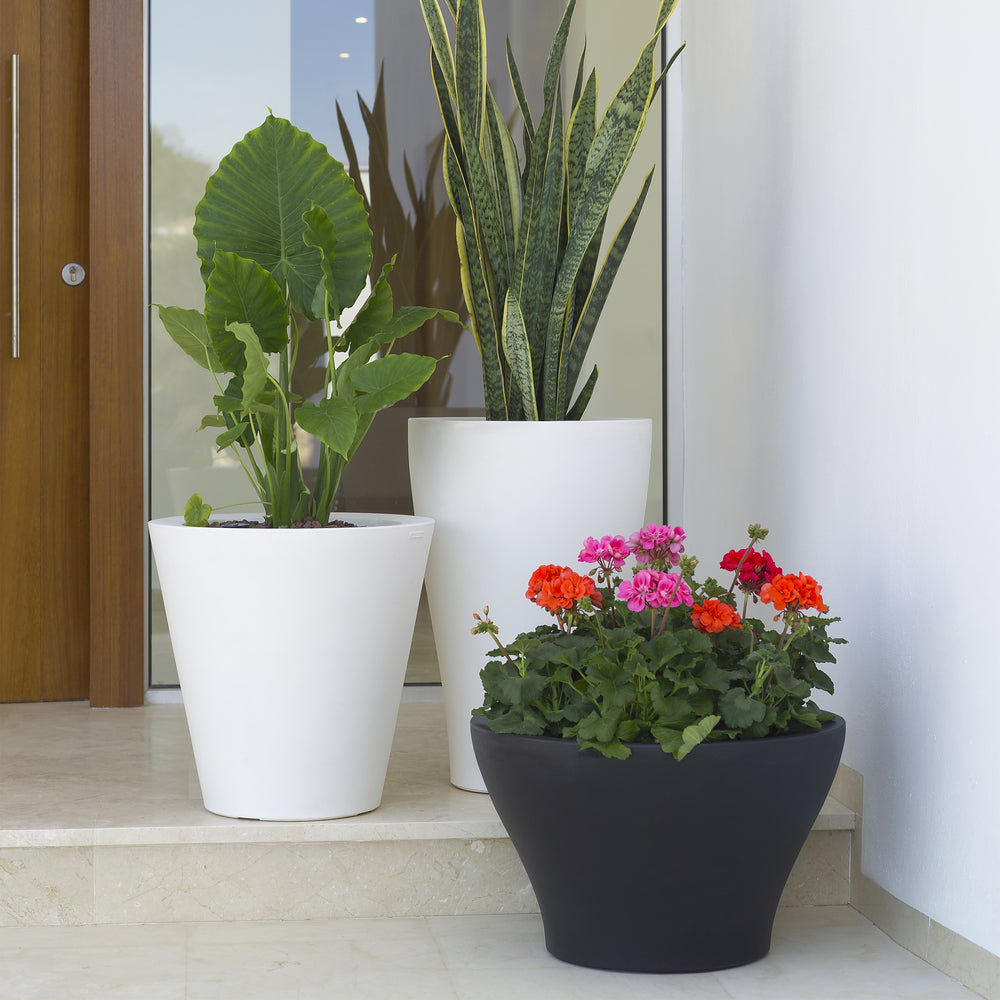 Curvada Planter