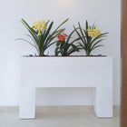 Muro Planter