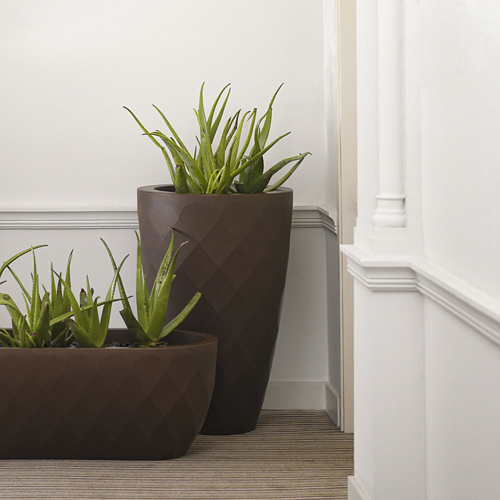Vases Planter