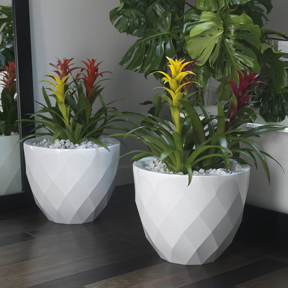 Vases Planter