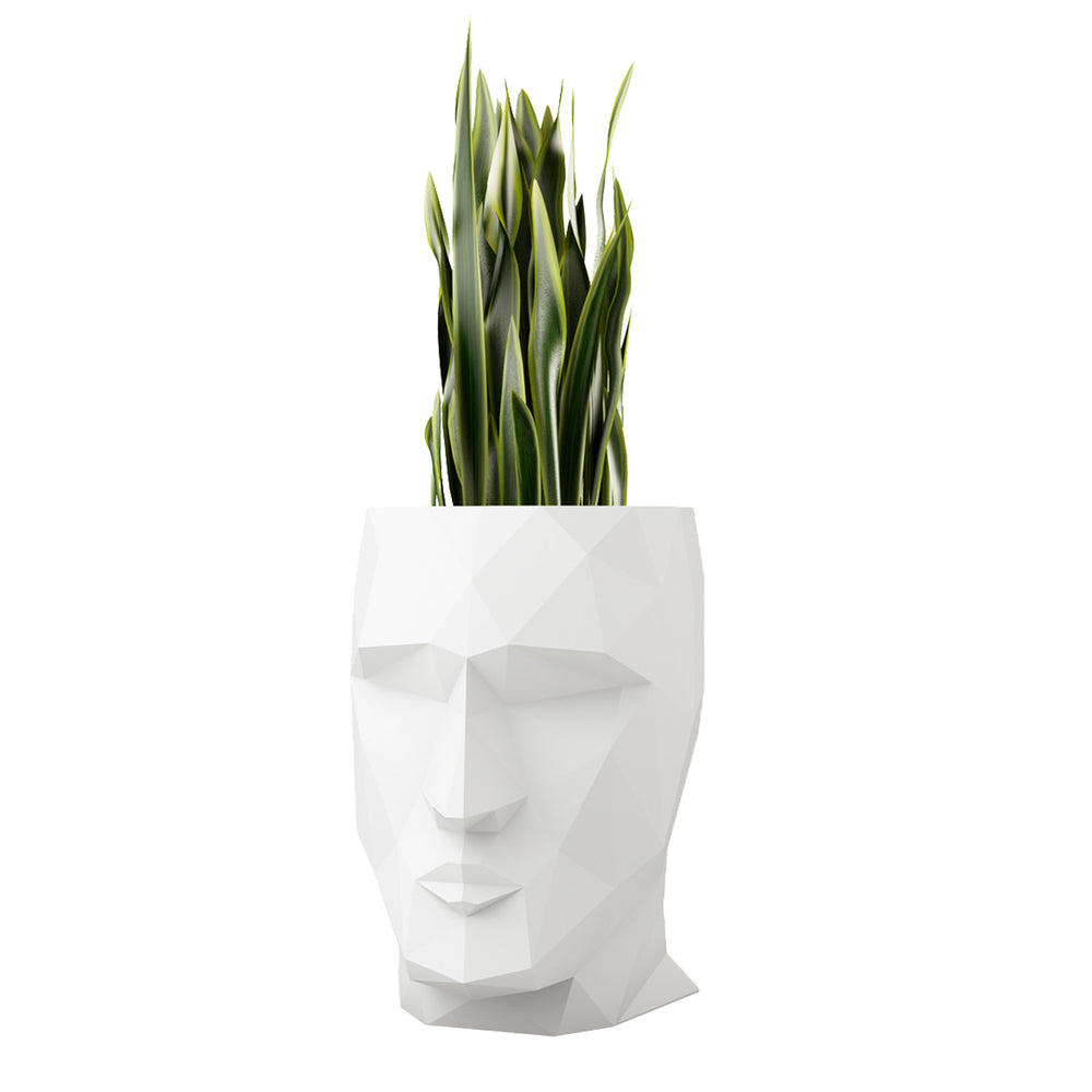 Adan Planter
