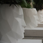 Adan Planter
