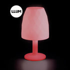 Illuminated Vases Floor Lamp