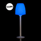 Illuminated Vases Floor Lamp