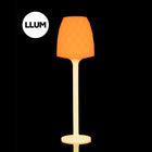 Illuminated Vases Floor Lamp