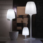 Illuminated Vases Floor Lamp