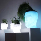 Illuminated Adan Planter