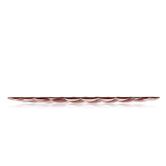 Jellies Under Plate (Set of 4)