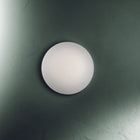 Janeiro Ceiling or Wall Light