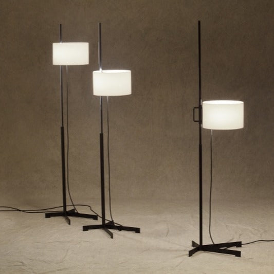 TMC Adjustable Floor Lamp