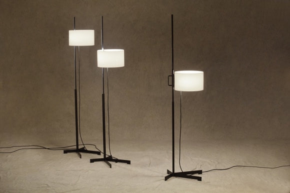 TMC Adjustable Floor Lamp