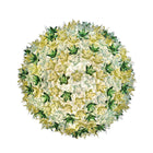 Bloom New Ceiling Lamp