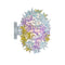 Bloom New Wall/Ceiling Lamp  option Lavender
