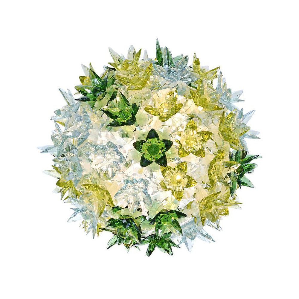 Bloom New Wall/Ceiling Lamp