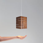 Claudo Pendant Light