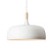 Acorn Pendant Light  option White