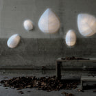 Eden Wall Sconce