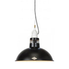 Paxo Pendant Light