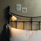 Hector Medium Dome Clip Light