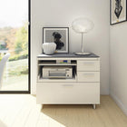 Centro Multifunction Cabinet