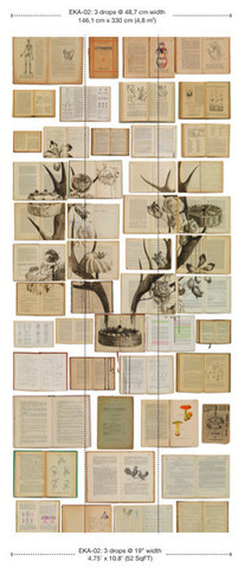 EKA-02 Biblioteca Mural Wallpaper