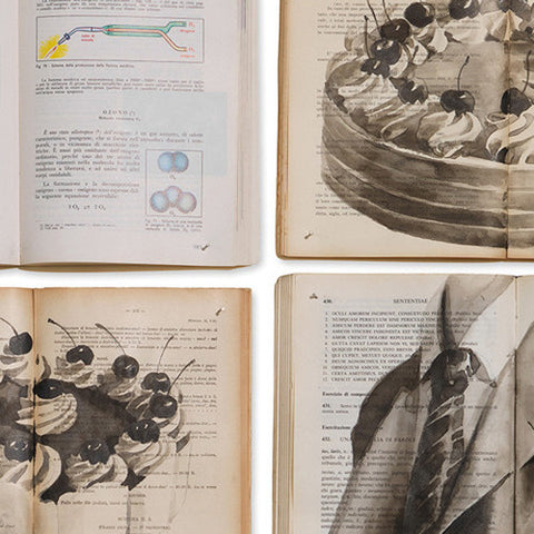 EKA-03 Biblioteca Mural Wallpaper