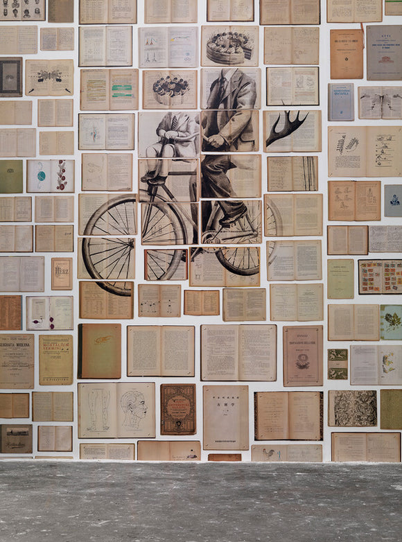 EKA-03 Biblioteca Mural Wallpaper