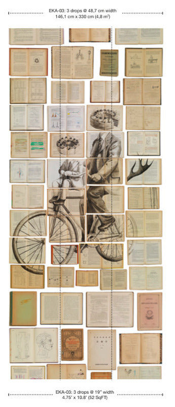 EKA-03 Biblioteca Mural Wallpaper