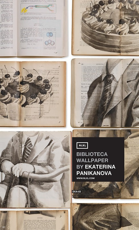 EKA-03 Biblioteca Mural Wallpaper