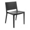 Lizz Matte Chair (Set of 2)  option Black