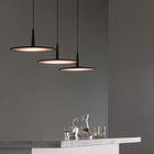 Skan Pendant Light