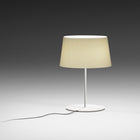 Warm Mesh Table Lamp
