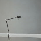 Tolomeo Mini Table Lamp